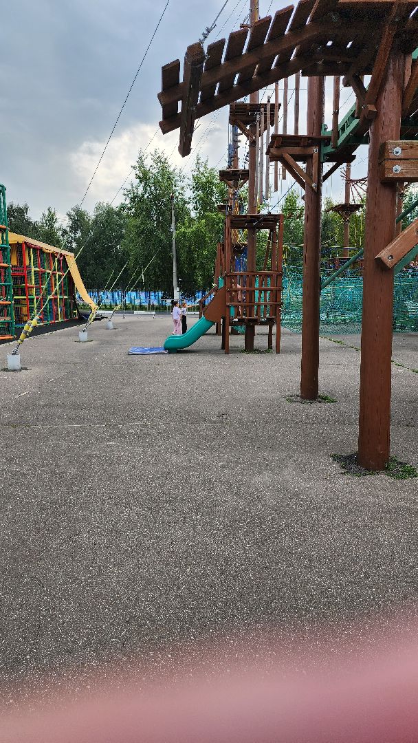 Долгопрудный, летние лагеря, спорт, музей спорта, фестиваль красок