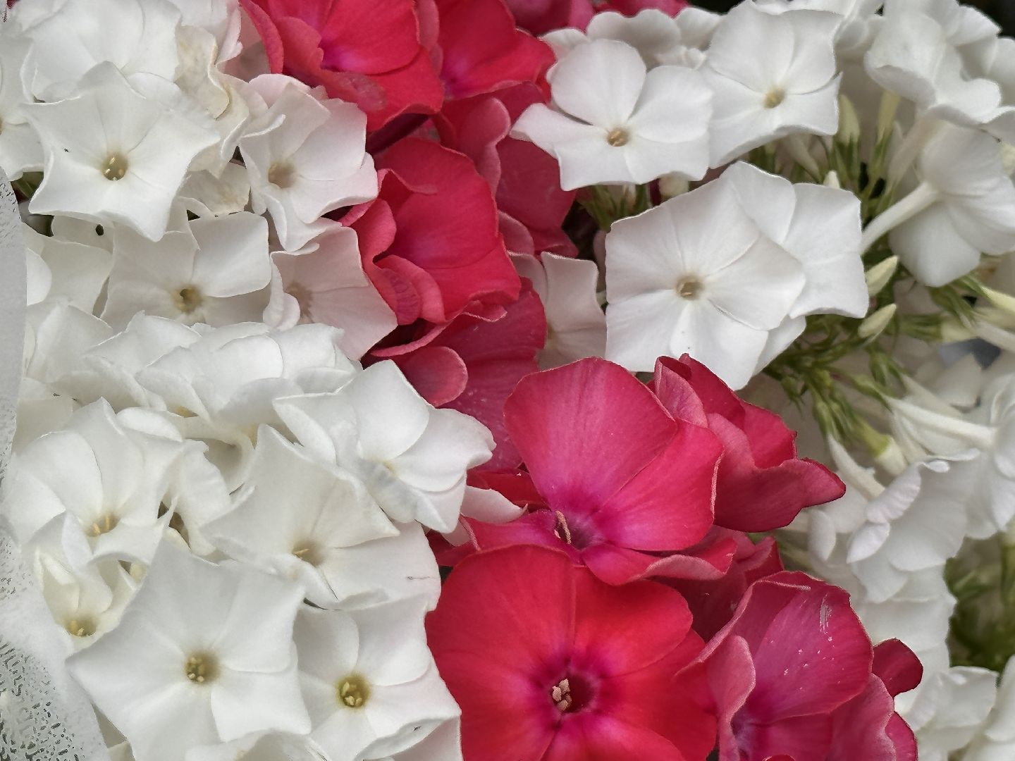 Одинцово, Одинцовское подворье, Мини базар, Торговля