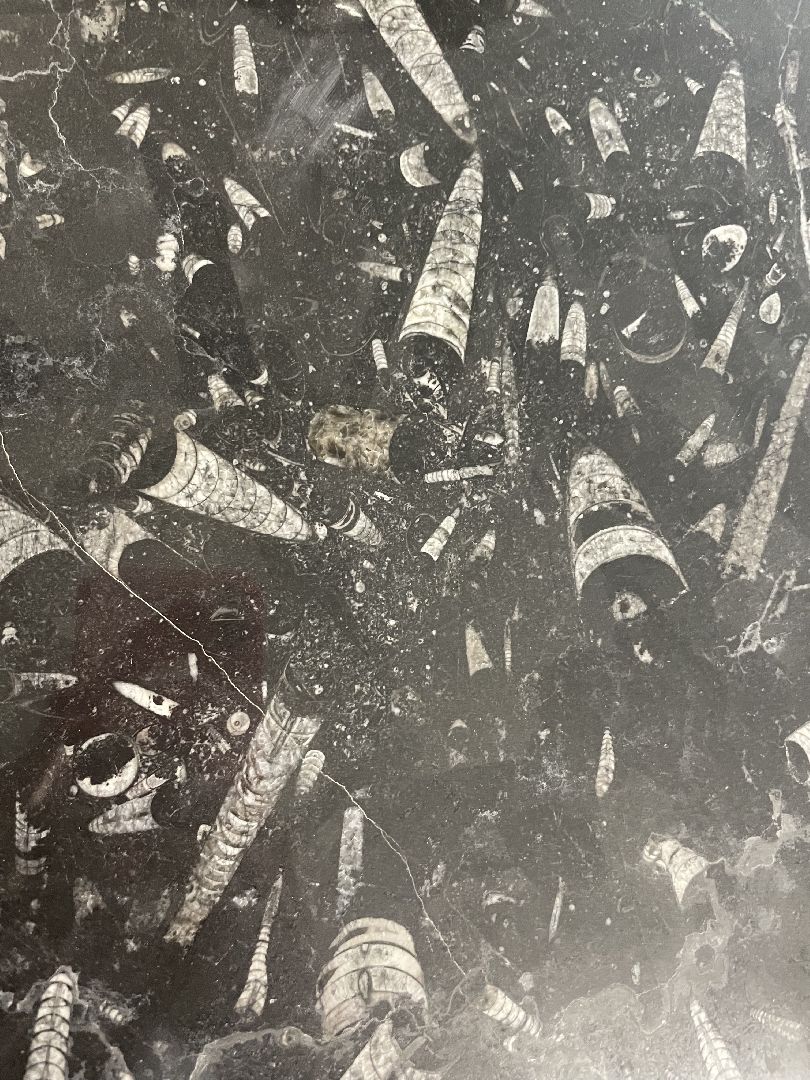 Домодедово, стекольный завод, промышленность, рабочие места, новое направление