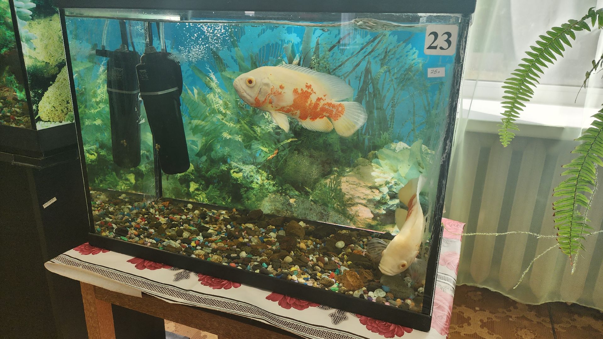 Кашира, каникулы, трудовые бригады, детский экологический центр