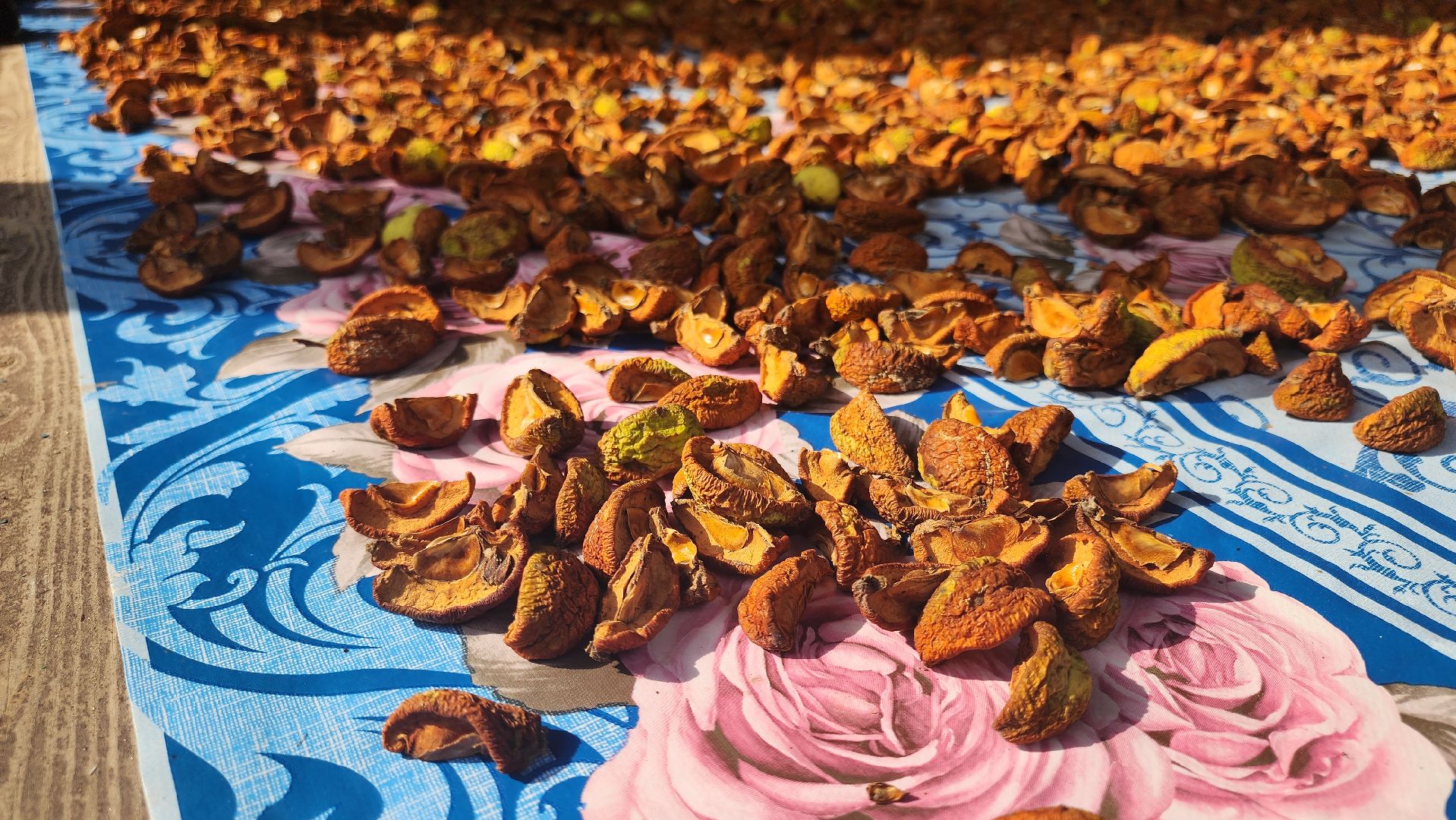 Кашира, каникулы, трудовые бригады, детский экологический центр