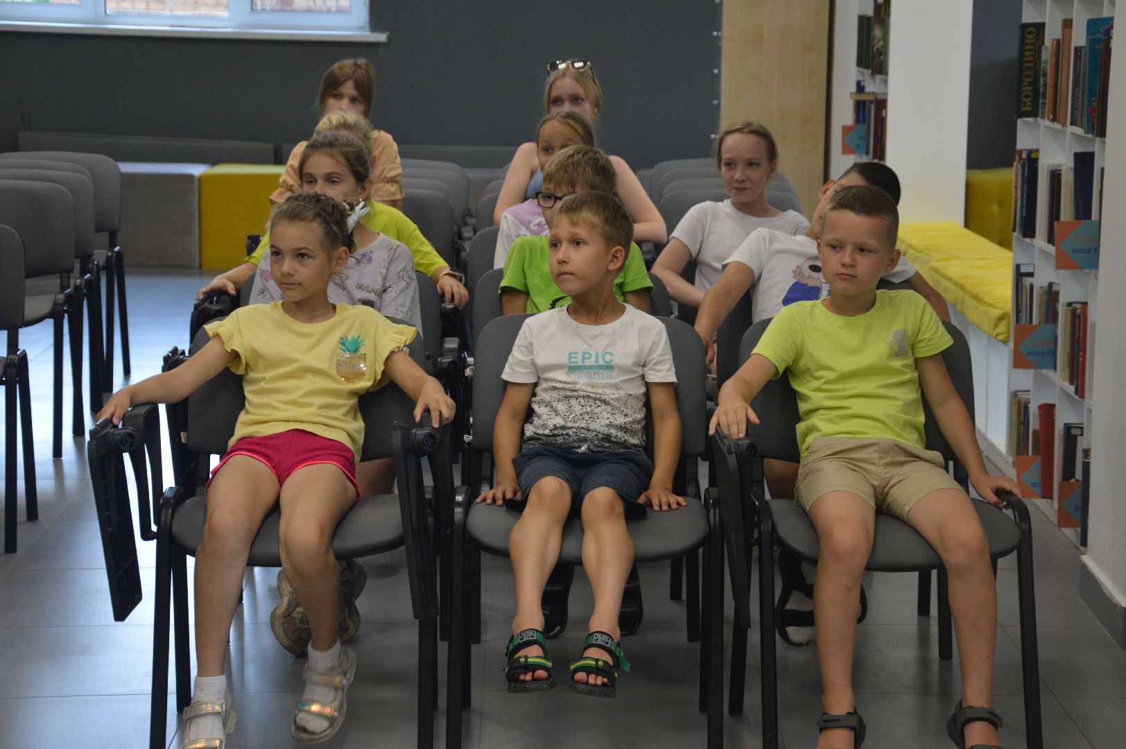 Шатура, День большой кошки, библиотека