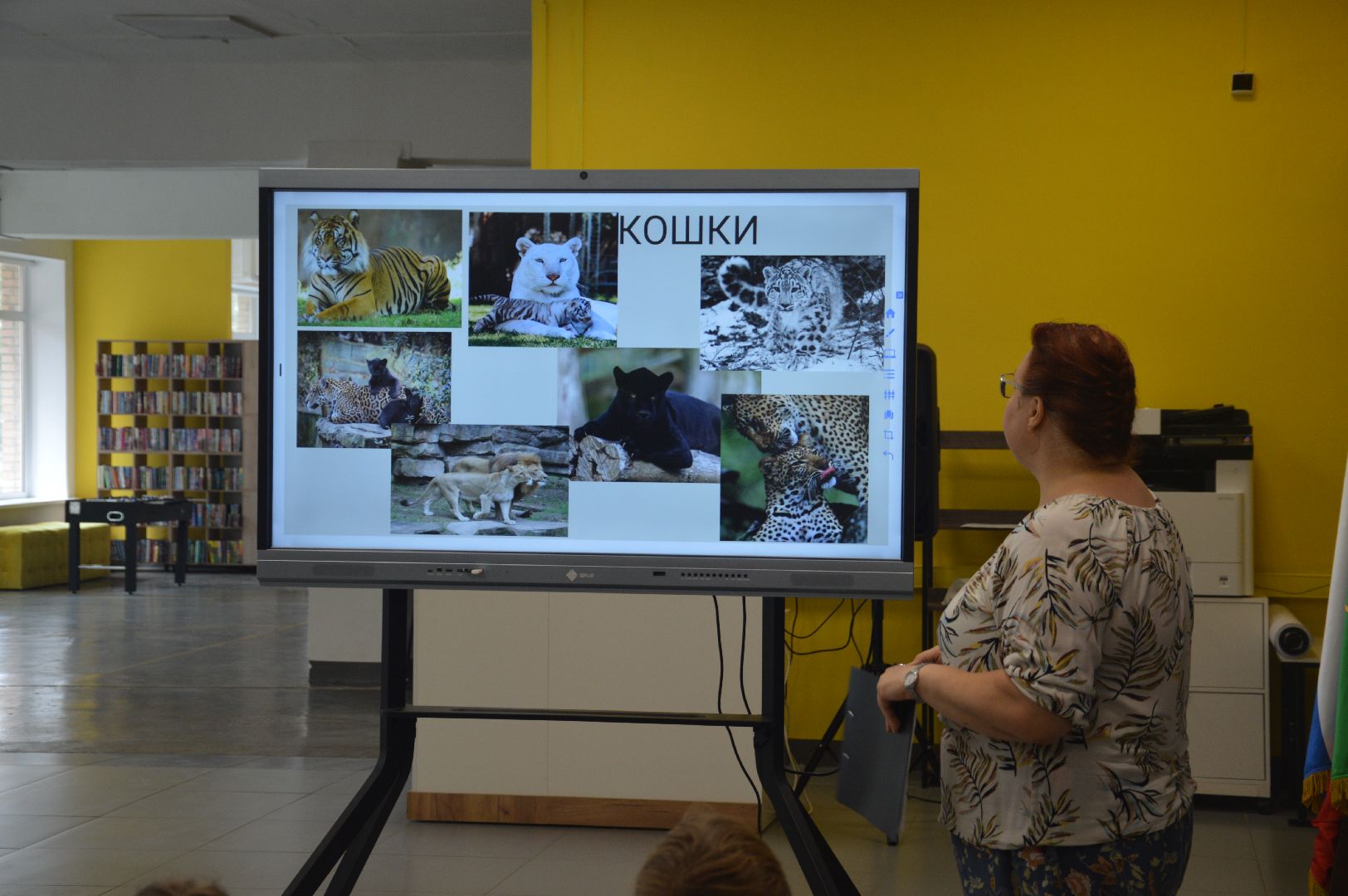 Шатура, День большой кошки, библиотека