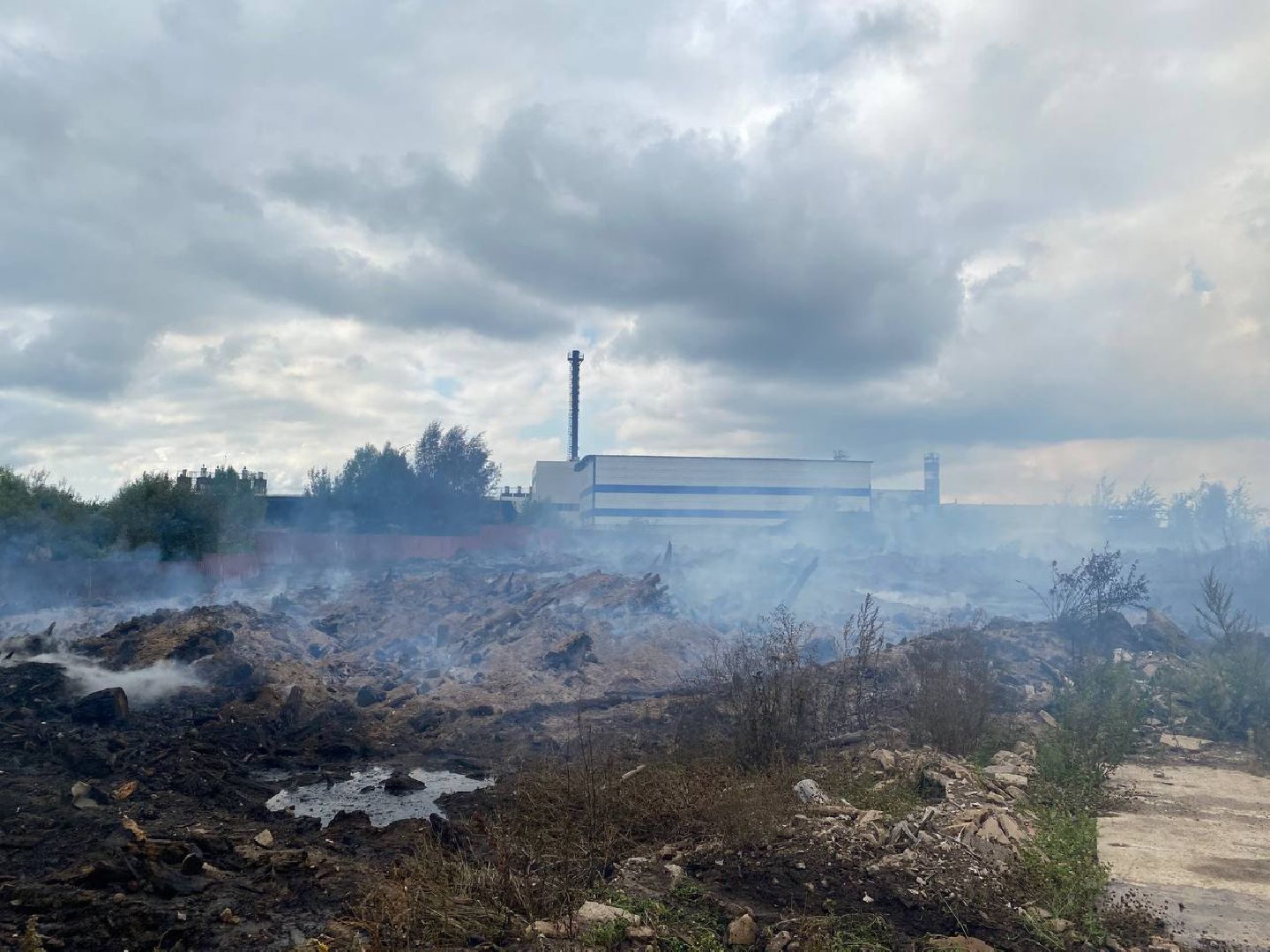 Чехов, пожар, деревня, сухостой, МЧС