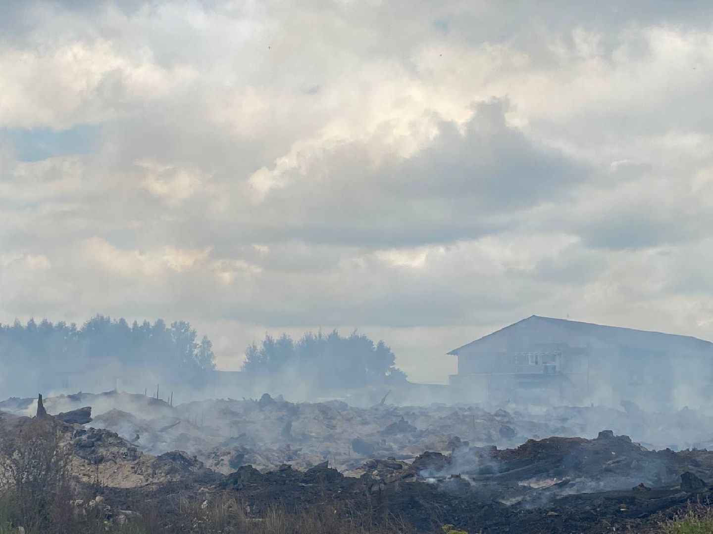 Чехов, пожар, деревня, сухостой, МЧС
