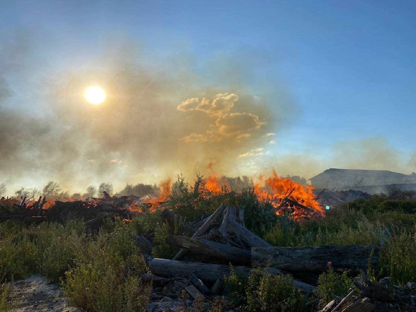 Чехов, пожар, деревня, сухостой, МЧС