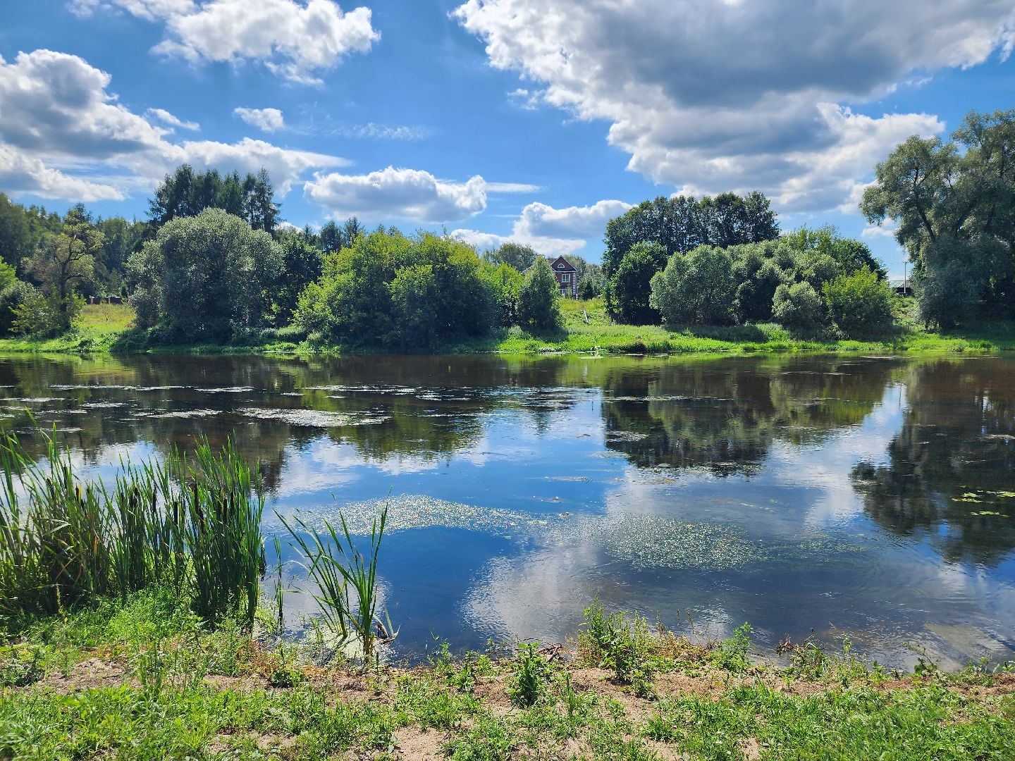 Звенигород, благоустройство, эко-тропа