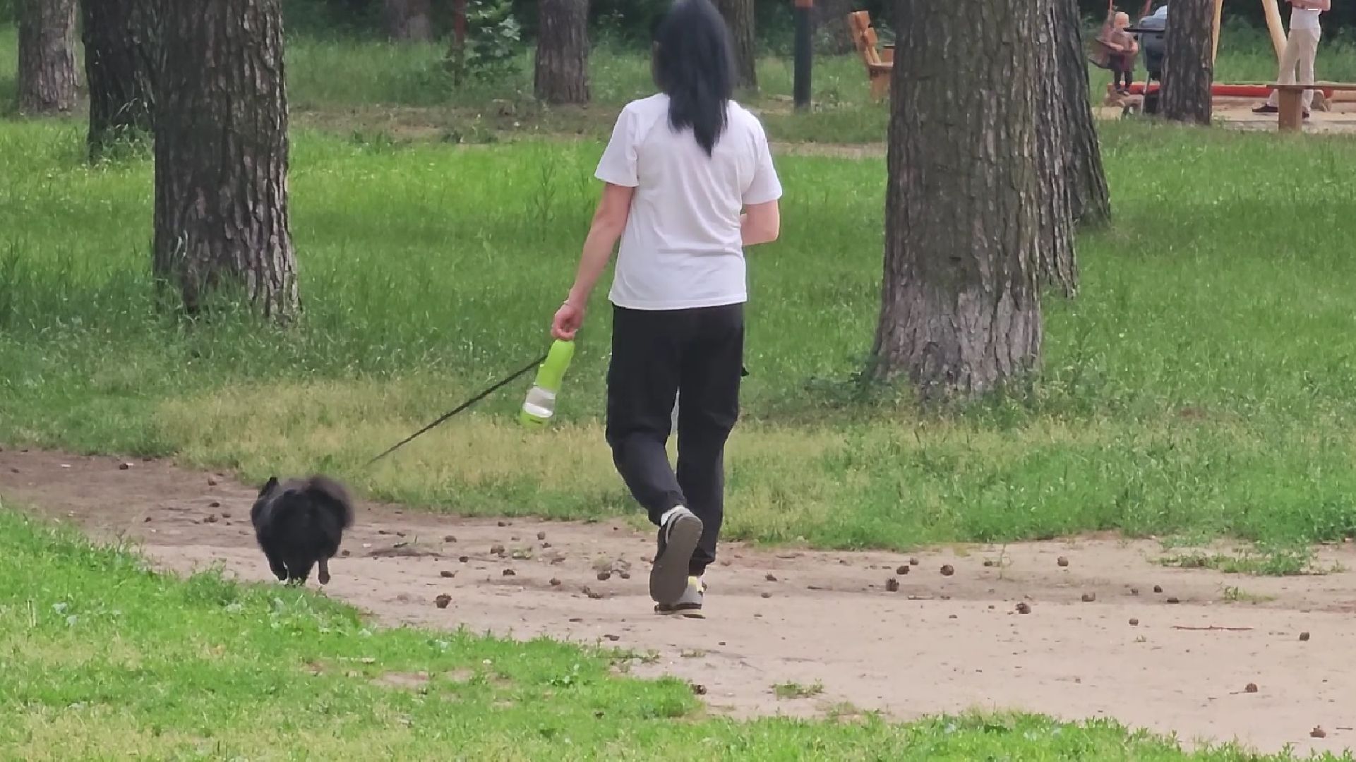 собачья площадка, благоустройство, Котельники