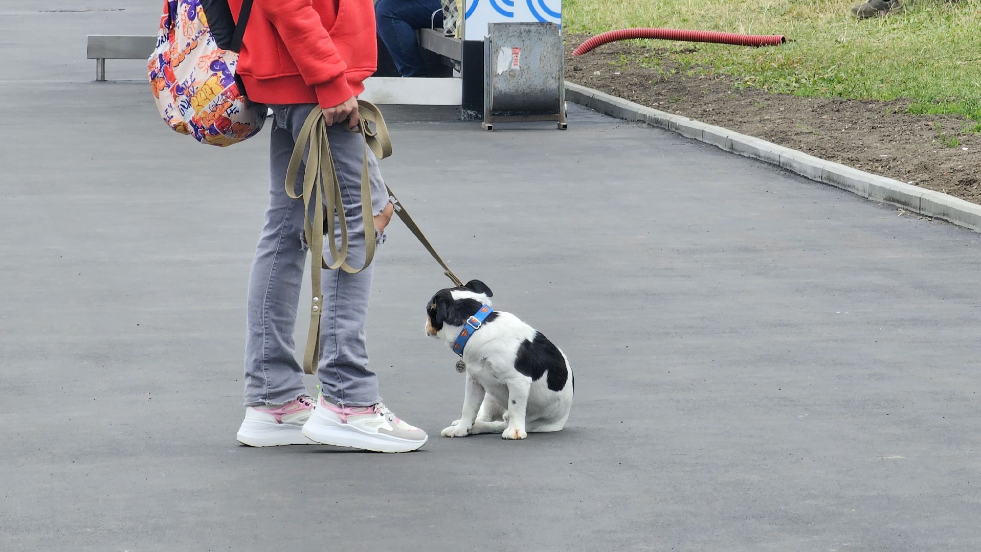 собачья площадка, благоустройство, Котельники