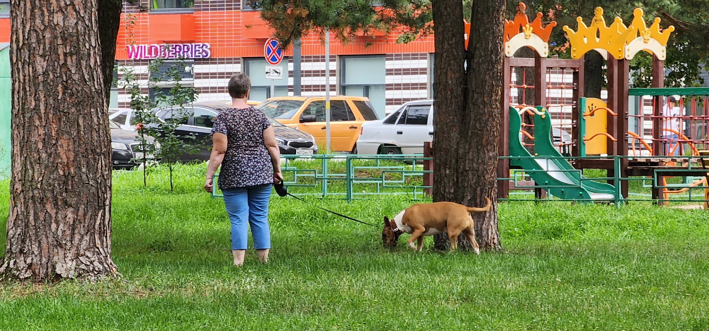 собачья площадка, благоустройство, Котельники