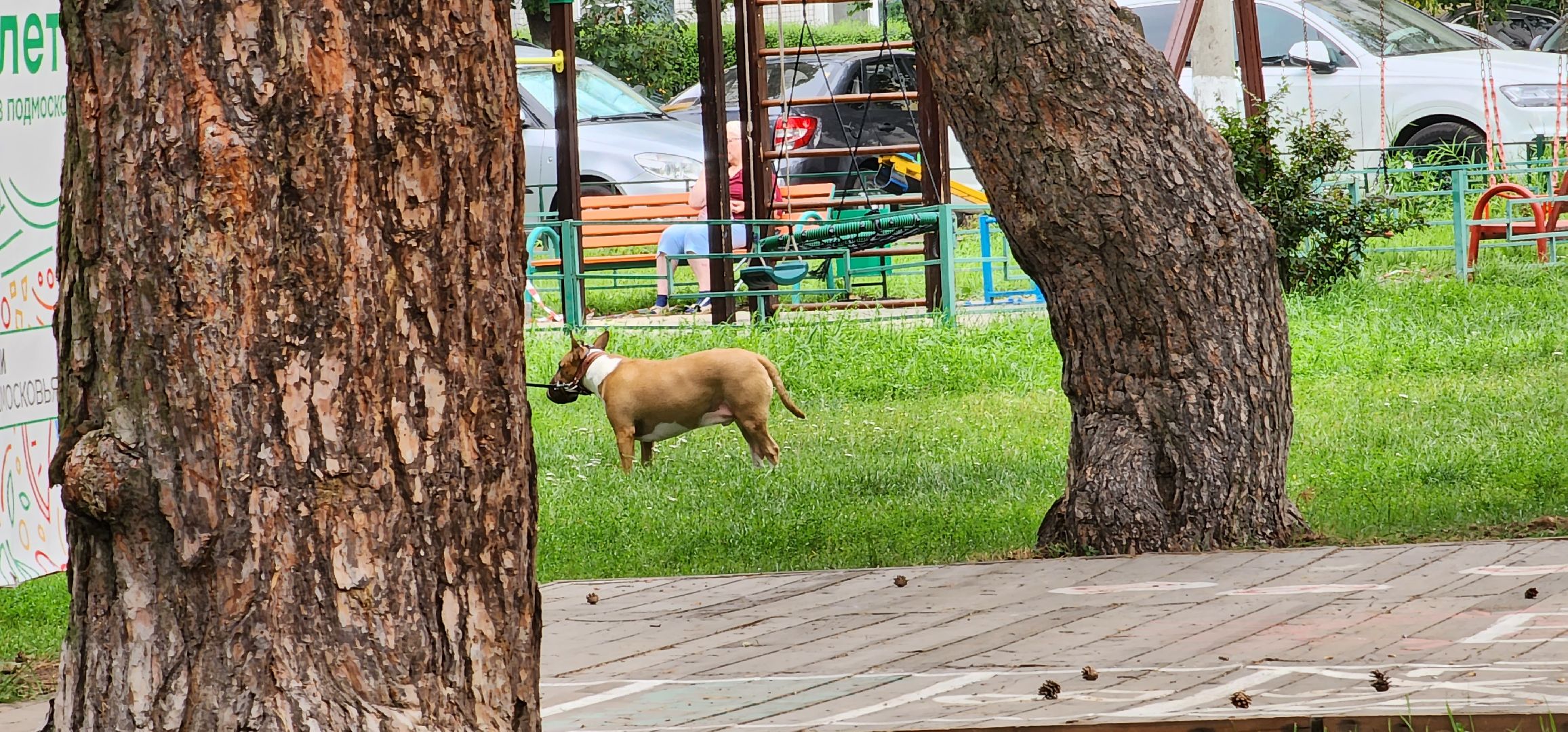 собачья площадка, благоустройство, Котельники