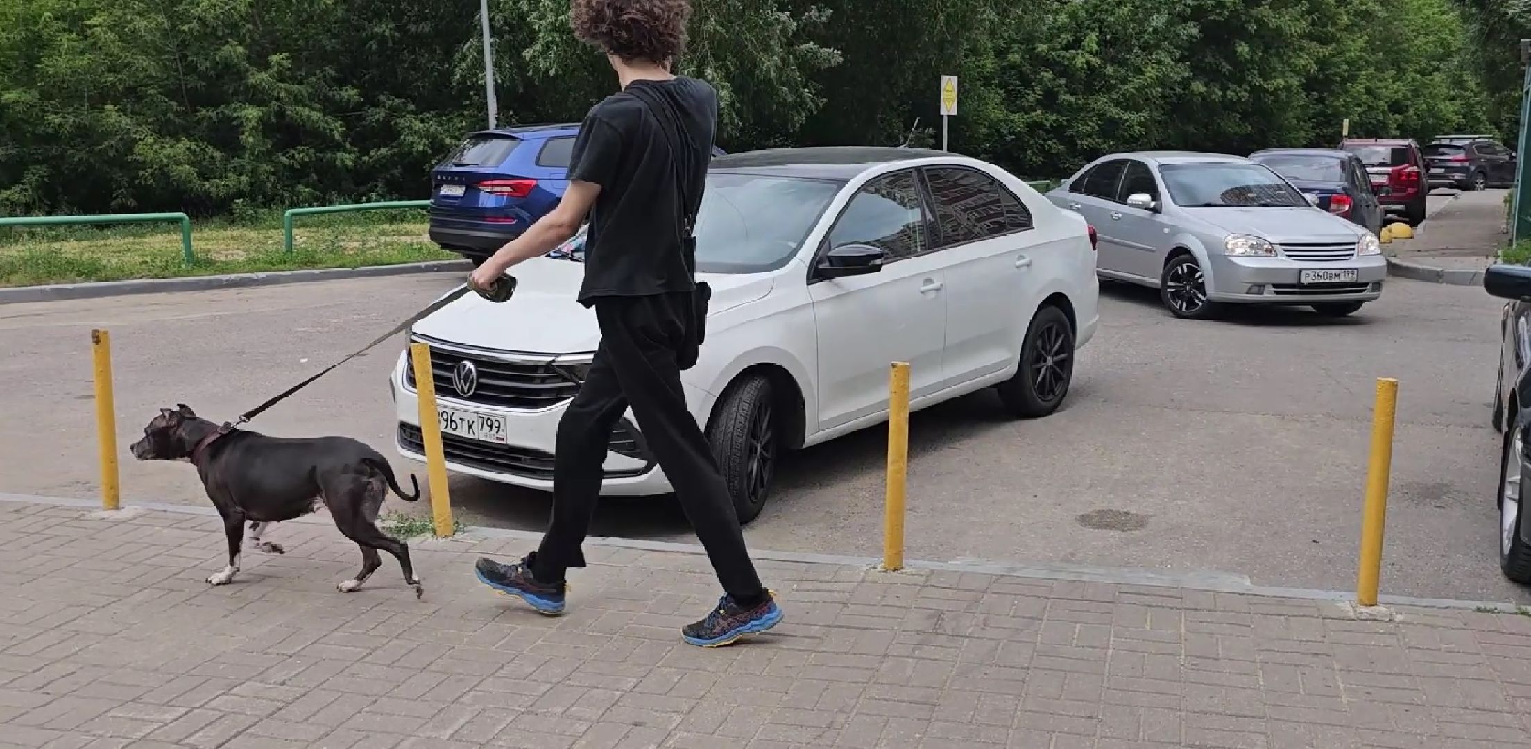 собачья площадка, благоустройство, Котельники