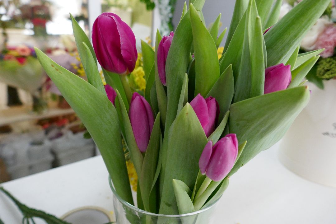 Подольск, цветы, праздник, благотворительность