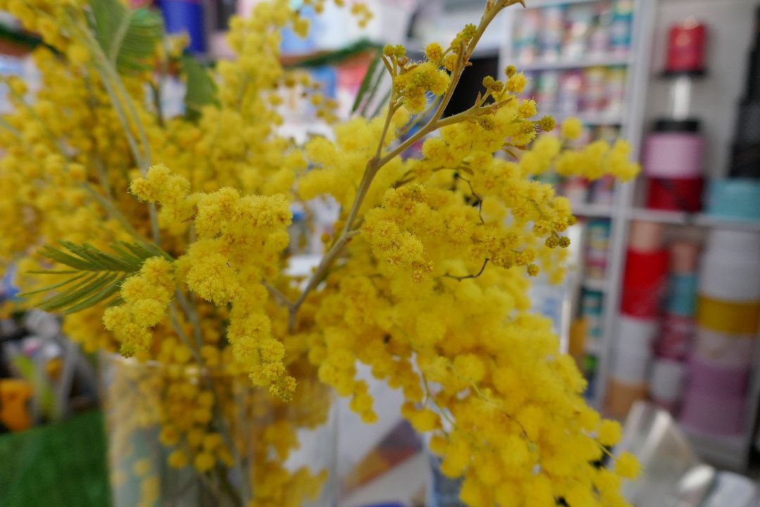 Подольск, цветы, праздник, благотворительность