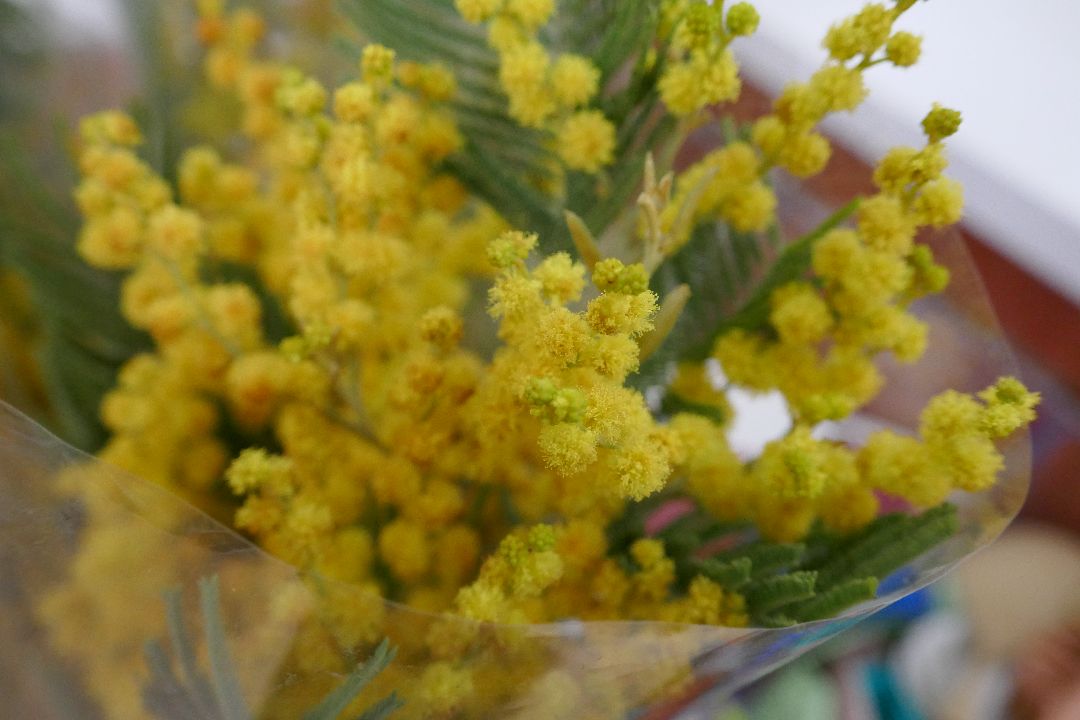 Подольск, цветы, праздник, благотворительность