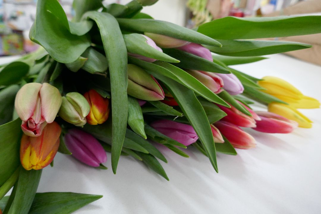 Подольск, цветы, праздник, благотворительность