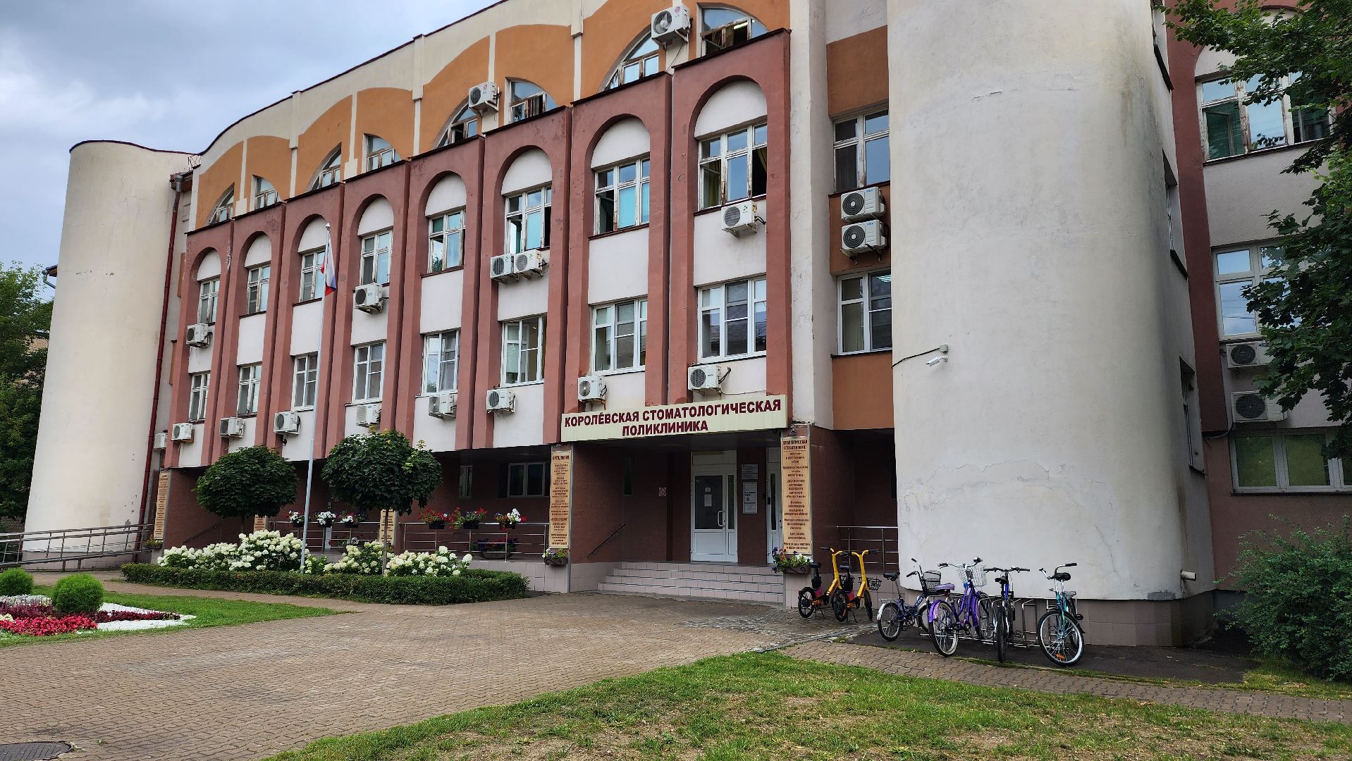 медицина, стоматология,