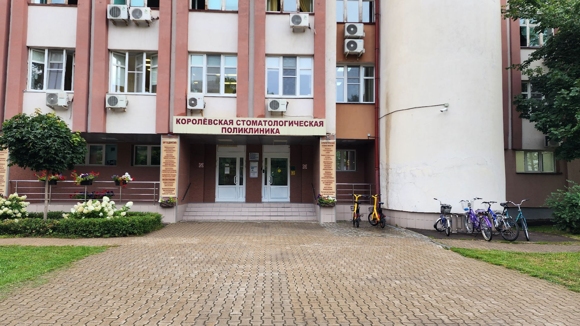 медицина, стоматология,