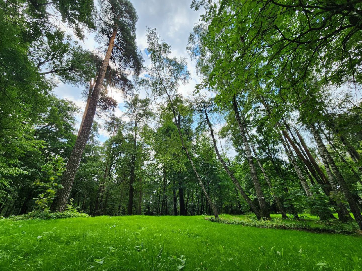 парк, благоустройство, люди, Лосино-Петровский