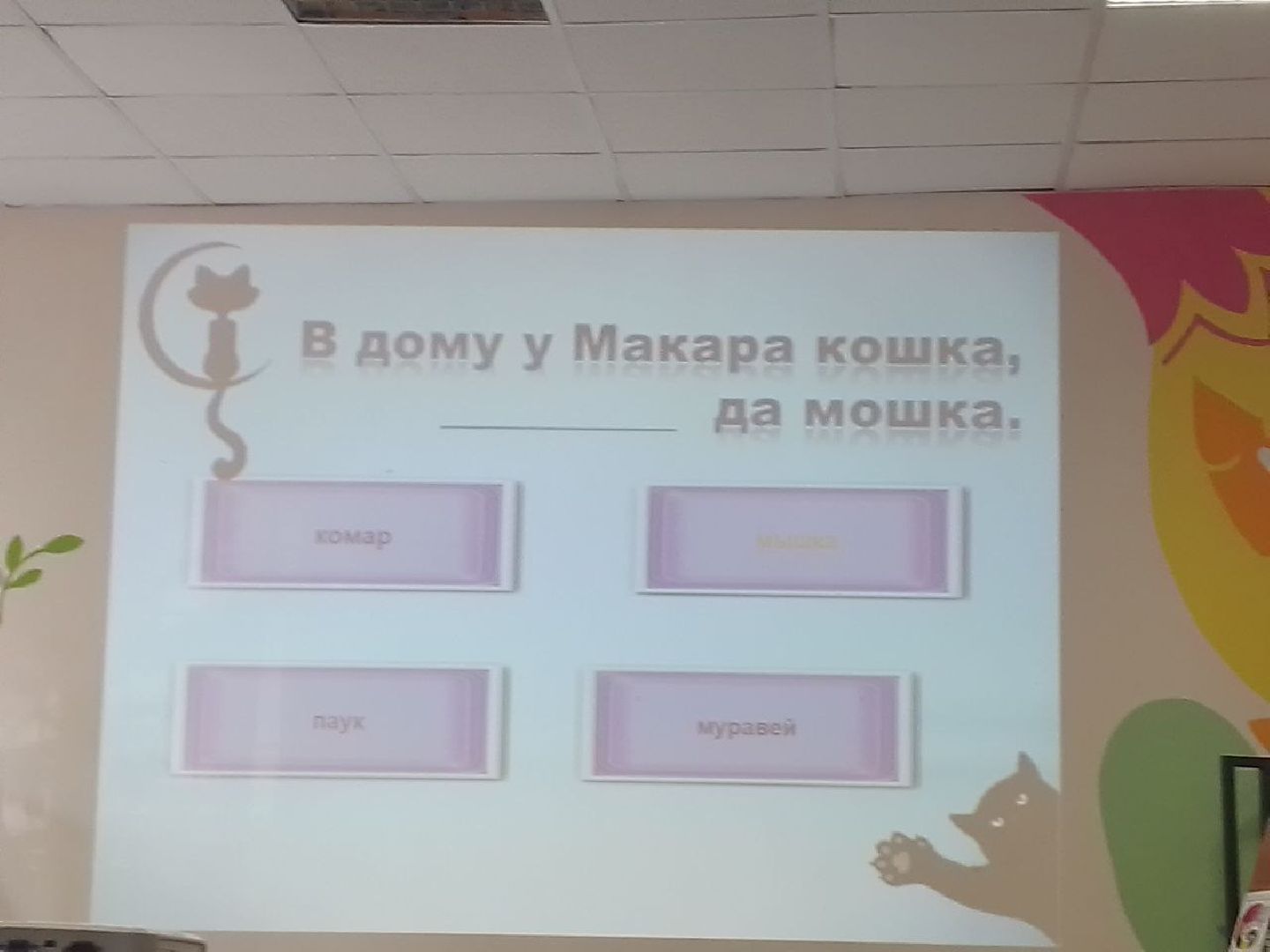 Чехов, культура, день кошек, мероприятие, библиотека, дети