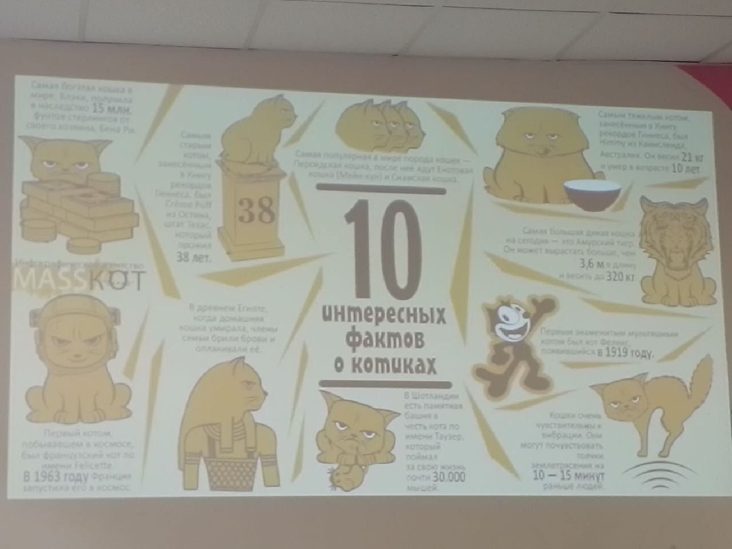 Чехов, культура, день кошек, мероприятие, библиотека, дети