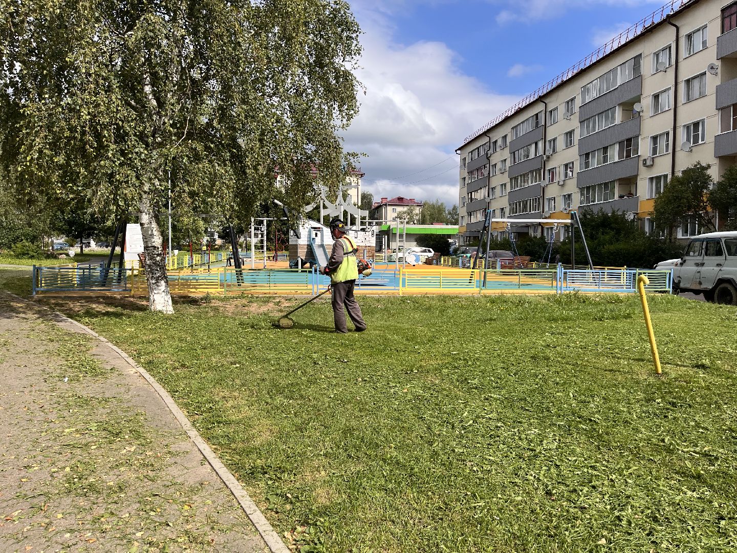 Шаховская, покос, трава