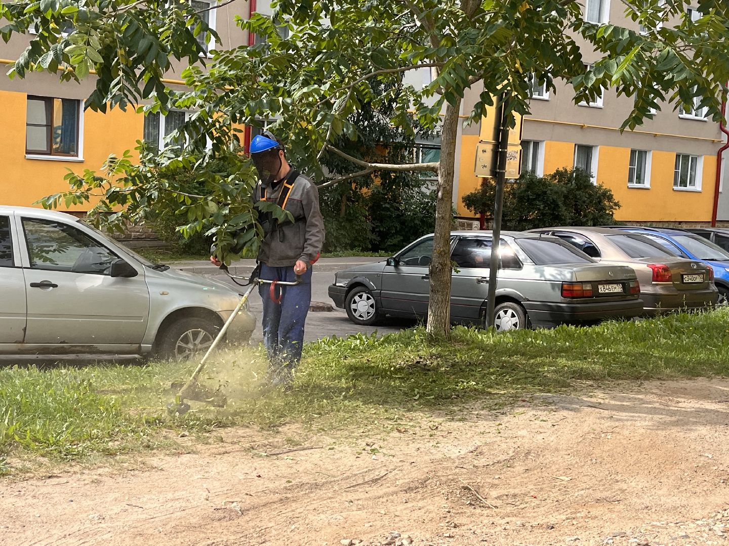 Шаховская, покос, трава