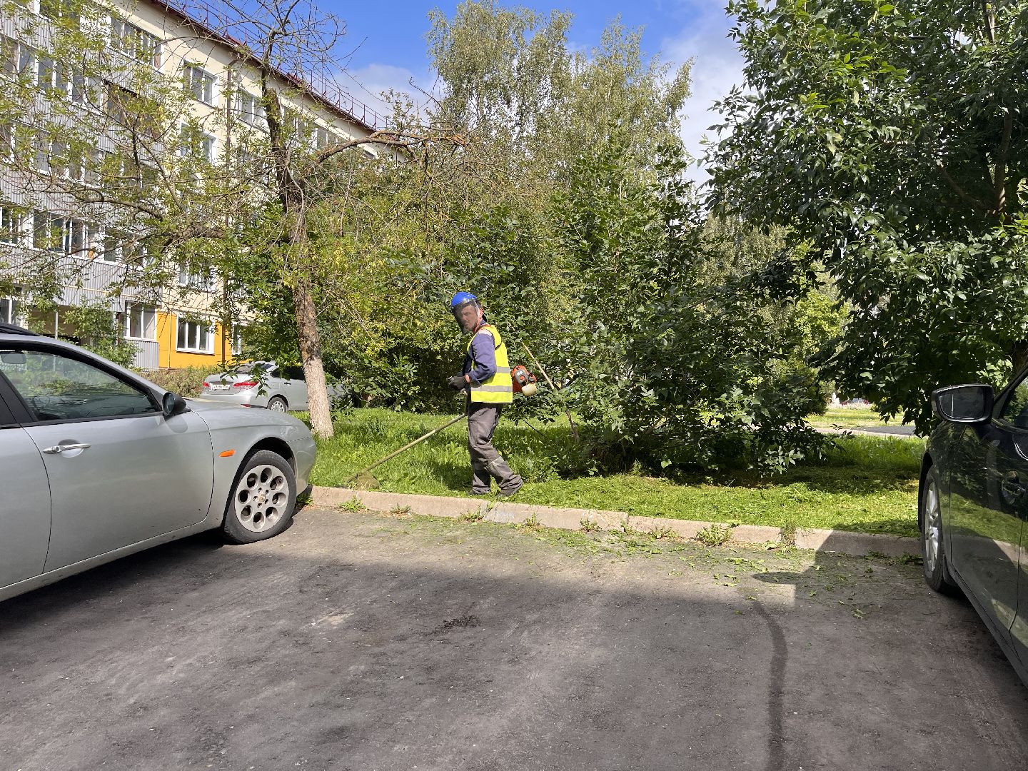 Шаховская, покос, трава