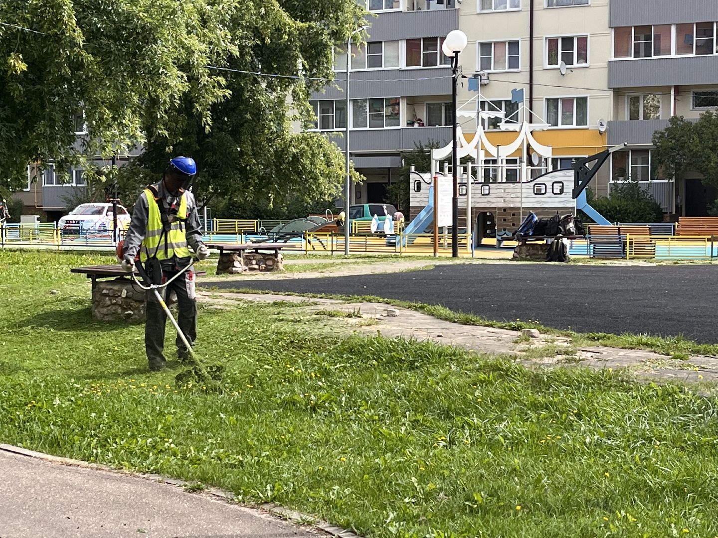 Шаховская, покос, трава