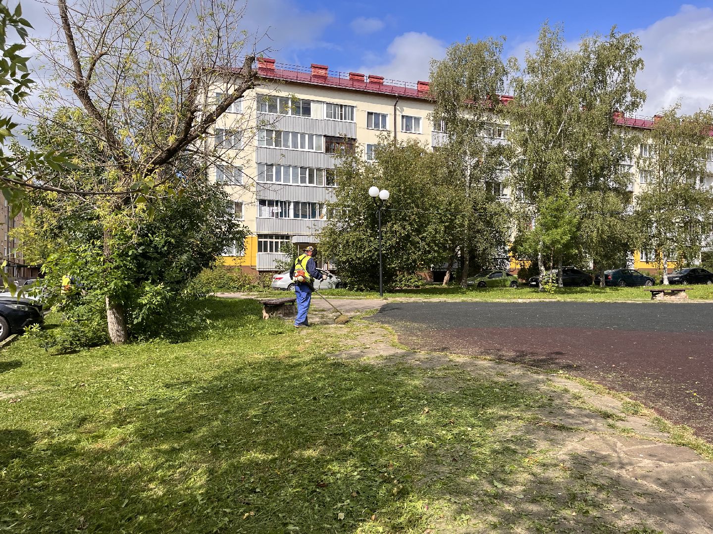 Шаховская, покос, трава