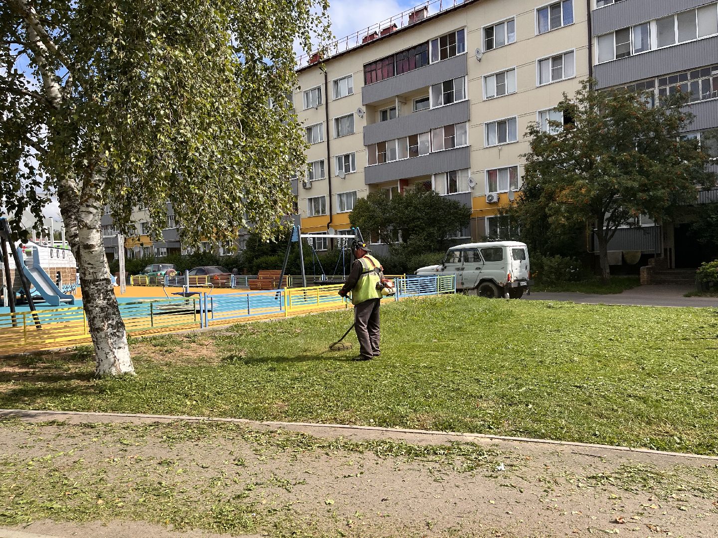 Шаховская, покос, трава