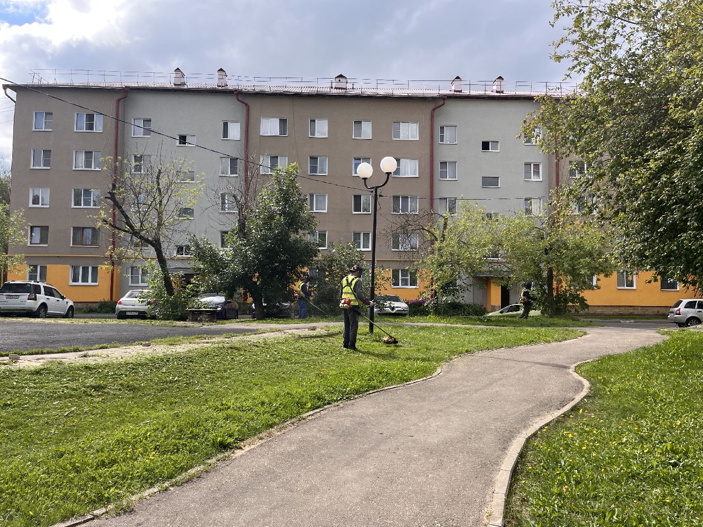 Шаховская, покос, трава