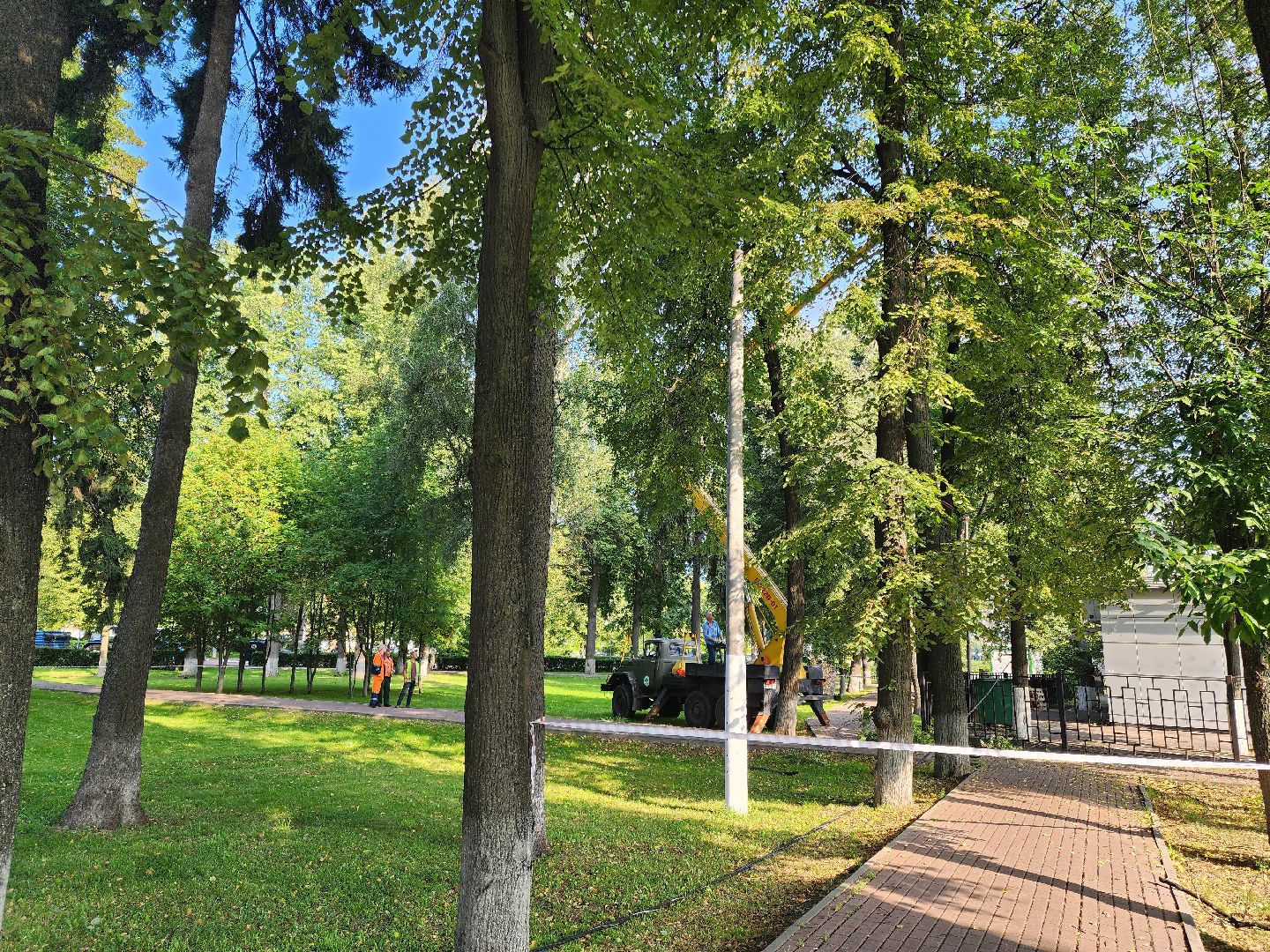 Подольск, благоустройство, дерево, безопасность