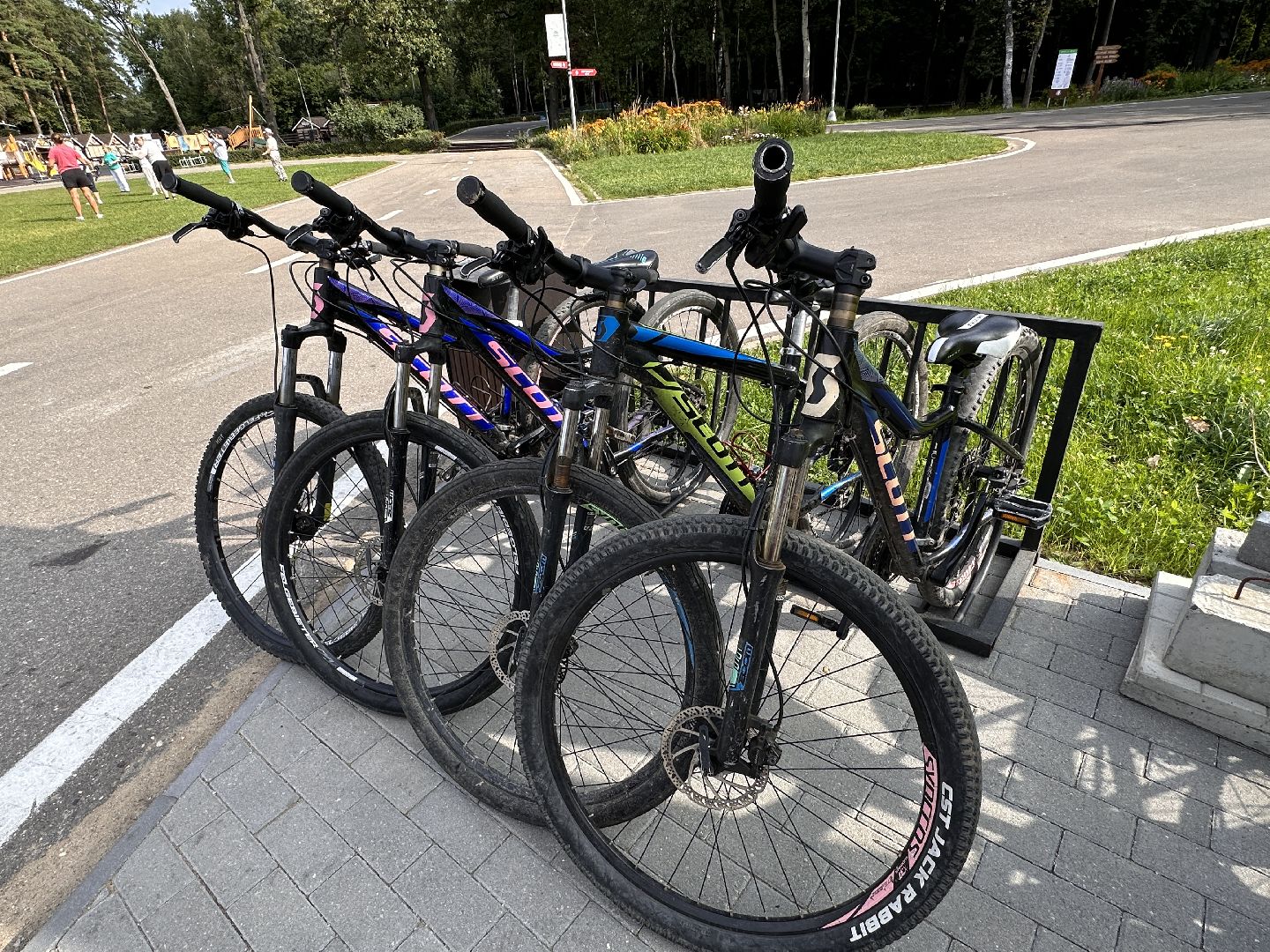 Одинцово, День спорта, Парки Подмосковья