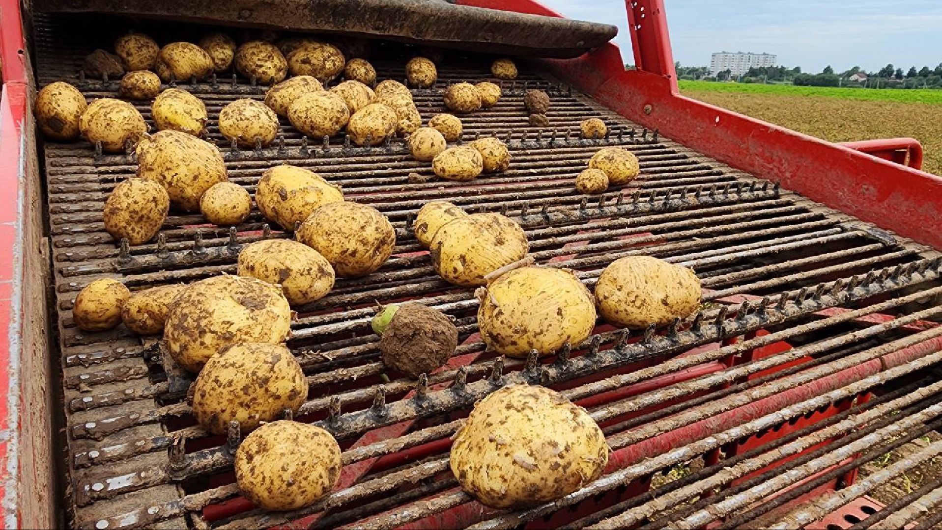 Дмитров, Мосагрофуд, Минсельхоз