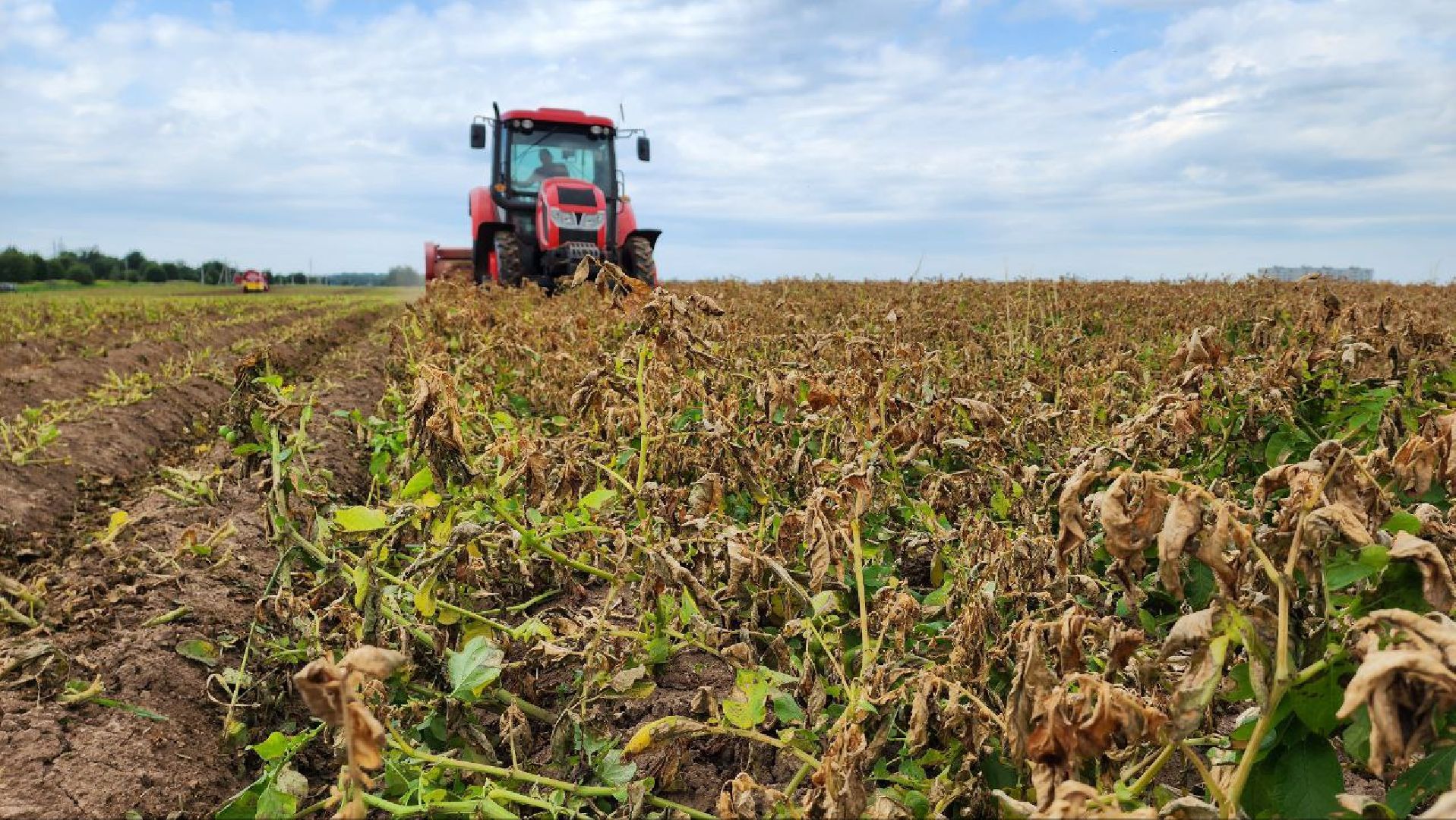 Дмитров, Мосагрофуд, Минсельхоз