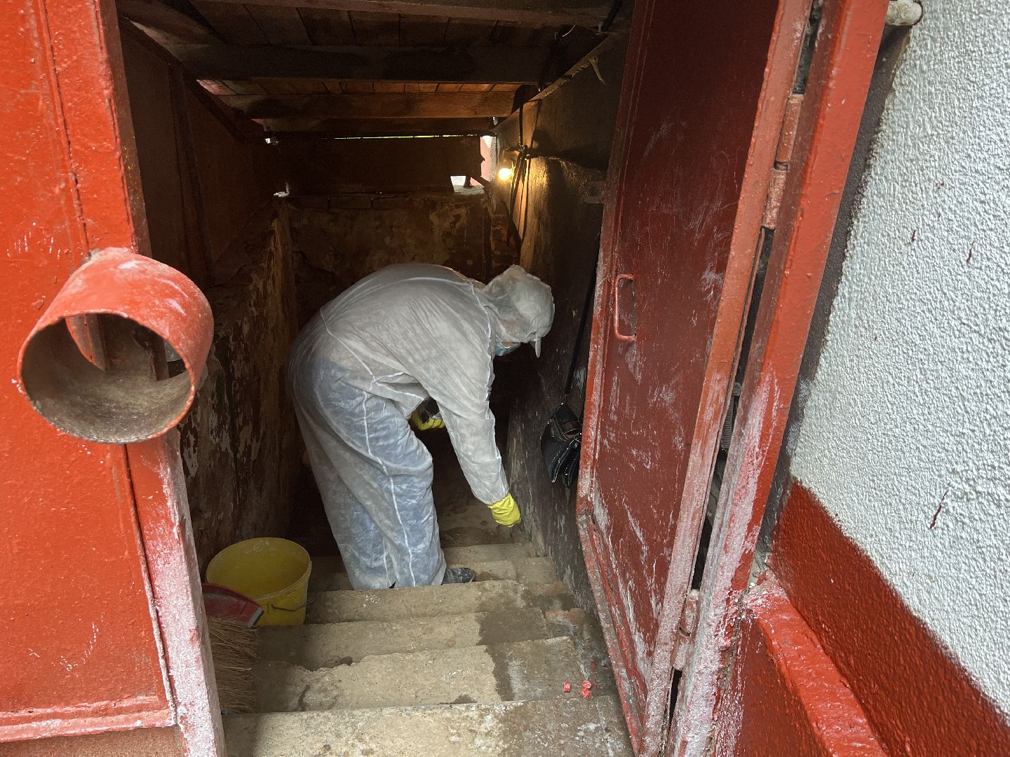 Химки, ЖКХ, дератизация