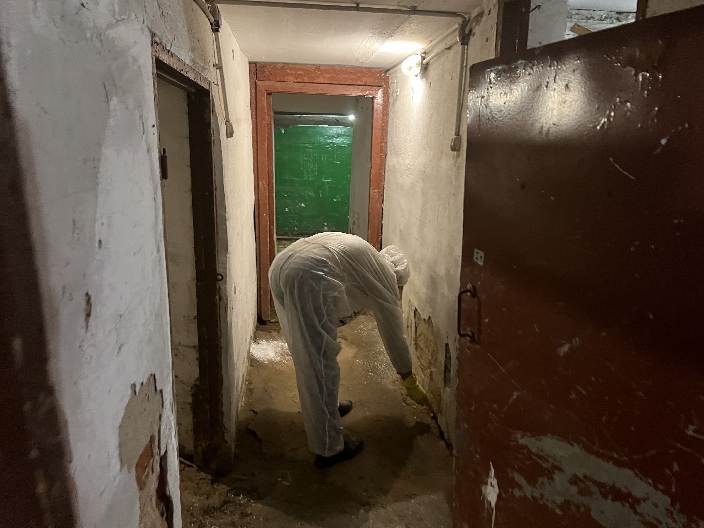 Химки, ЖКХ, дератизация