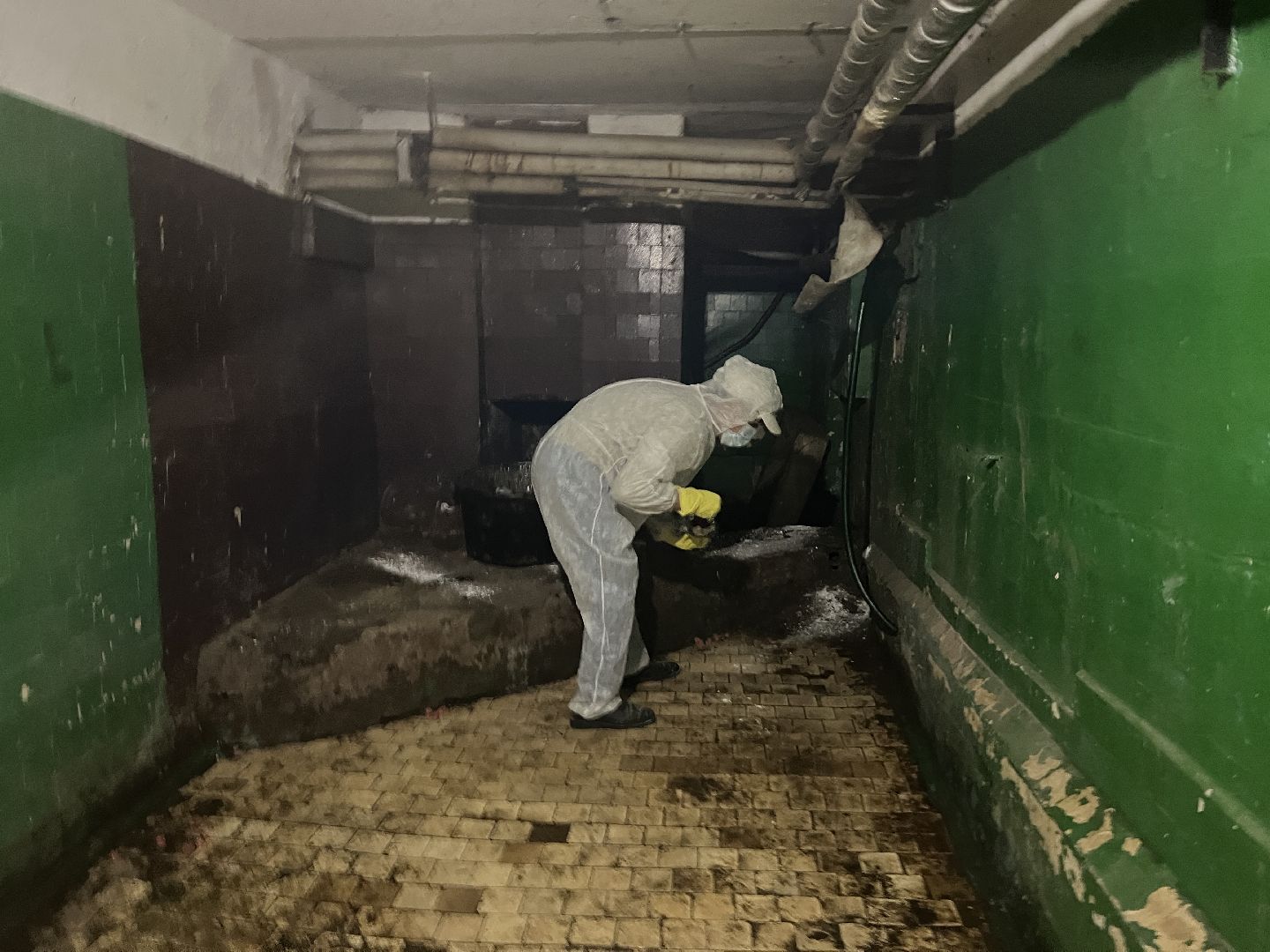 Химки, ЖКХ, дератизация