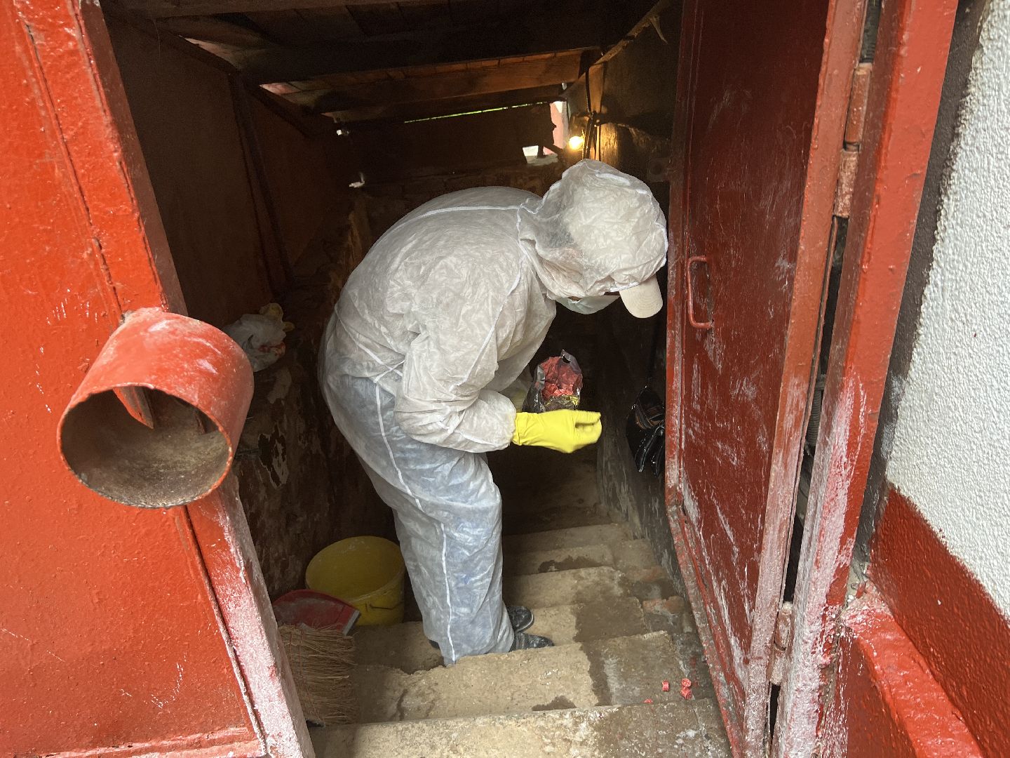 Химки, ЖКХ, дератизация