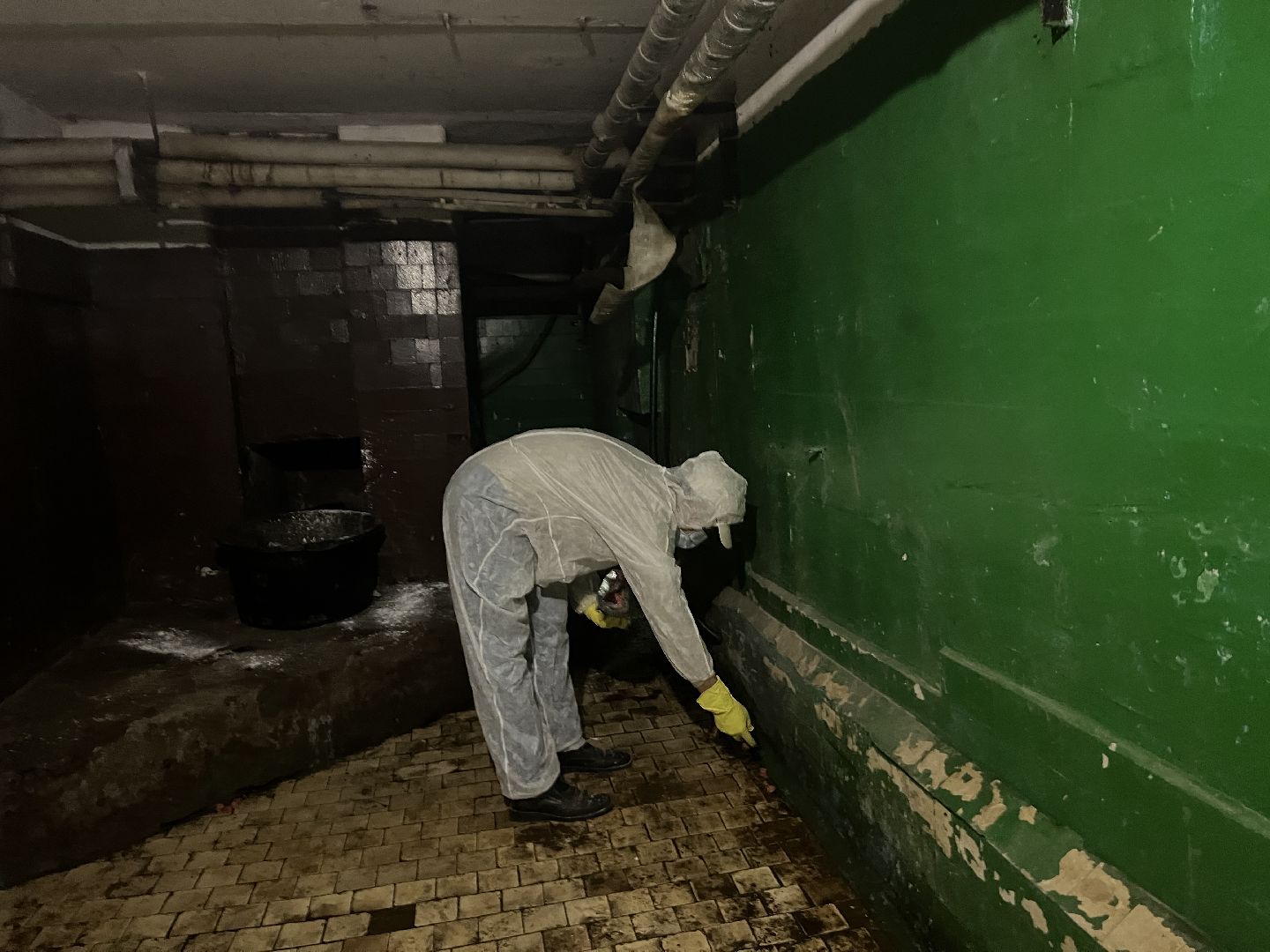 Химки, ЖКХ, дератизация