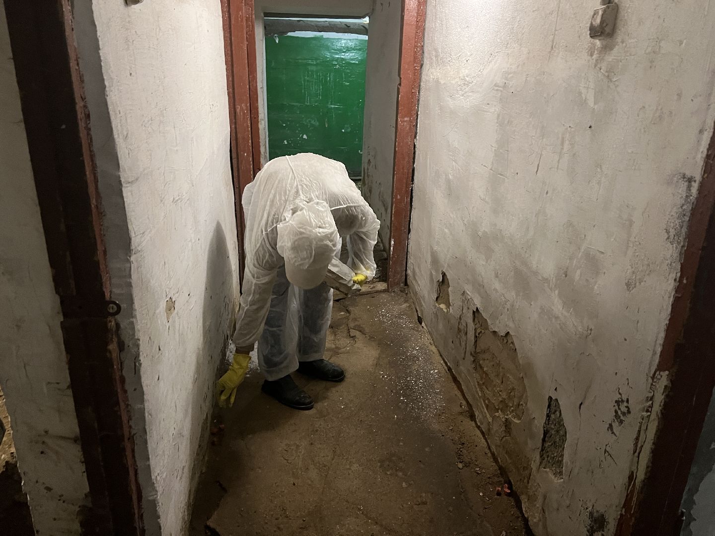 Химки, ЖКХ, дератизация