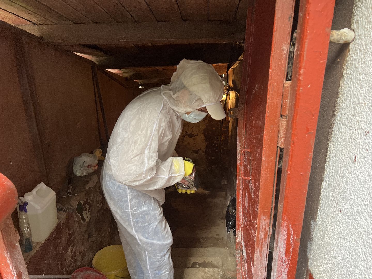 Химки, ЖКХ, дератизация