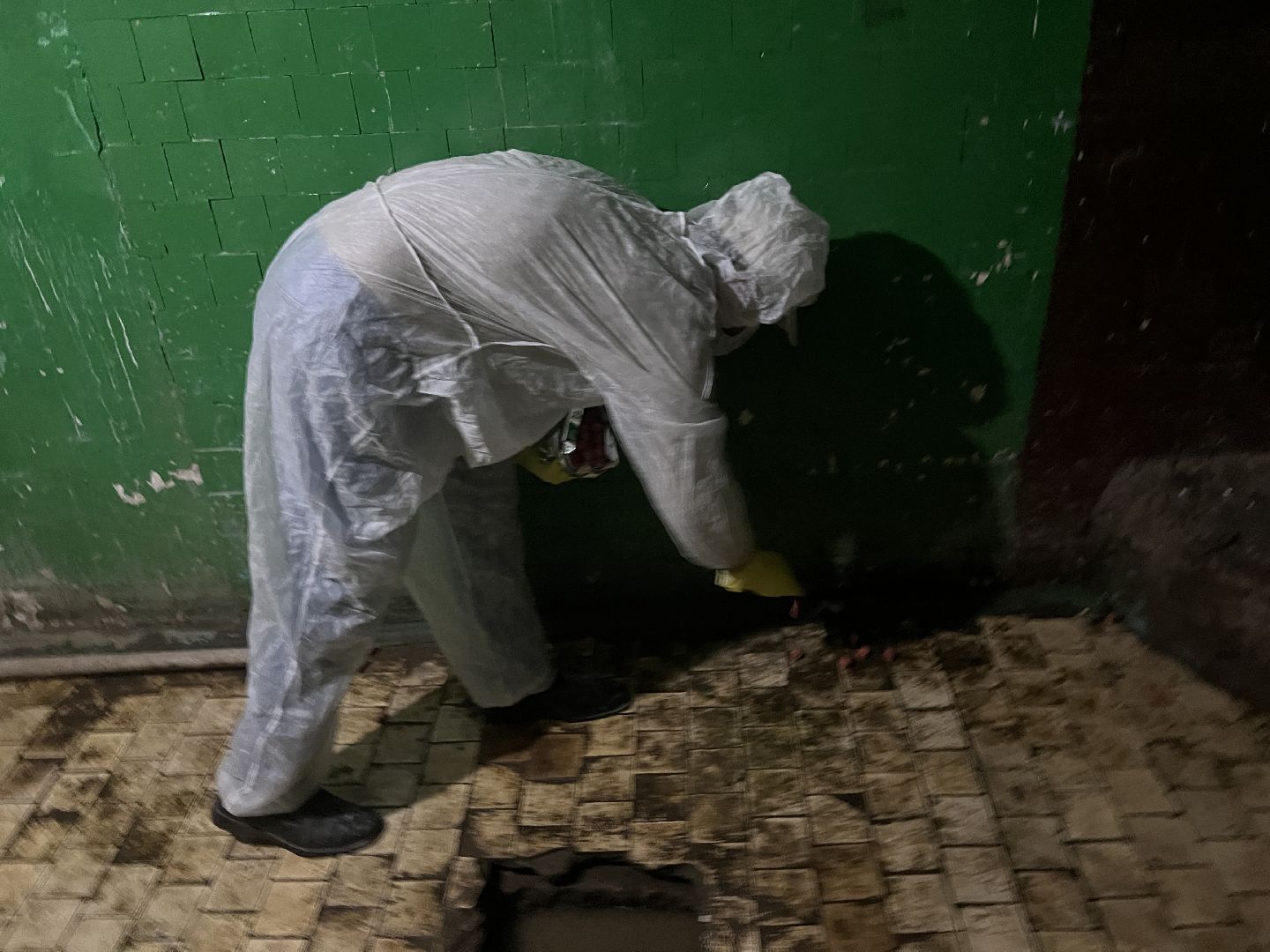 Химки, ЖКХ, дератизация