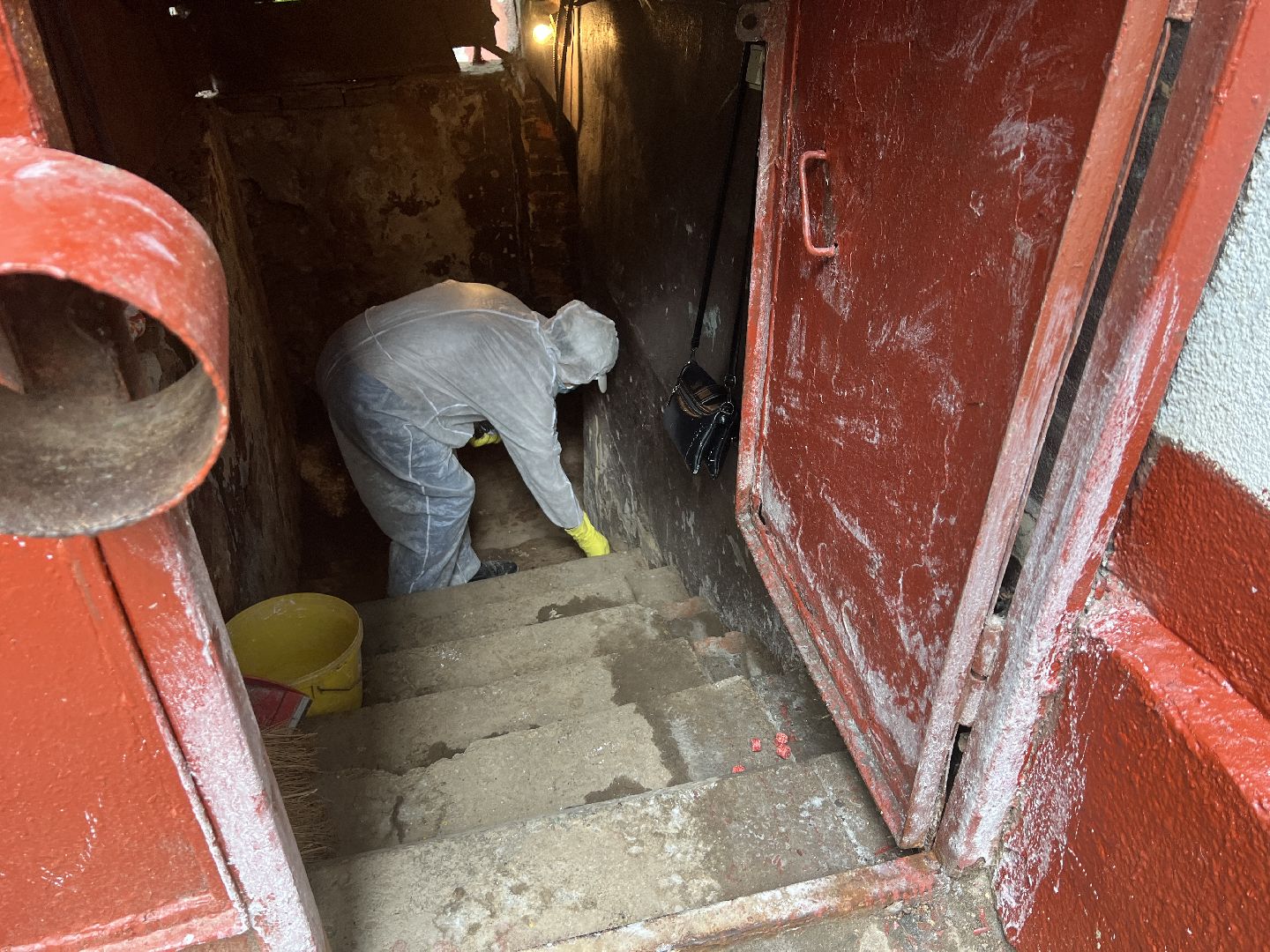 Химки, ЖКХ, дератизация