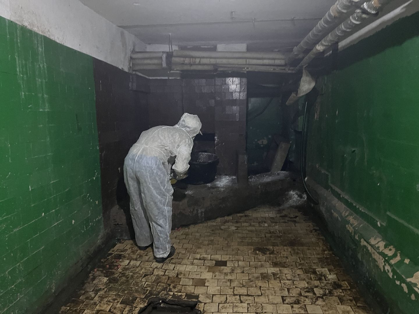 Химки, ЖКХ, дератизация