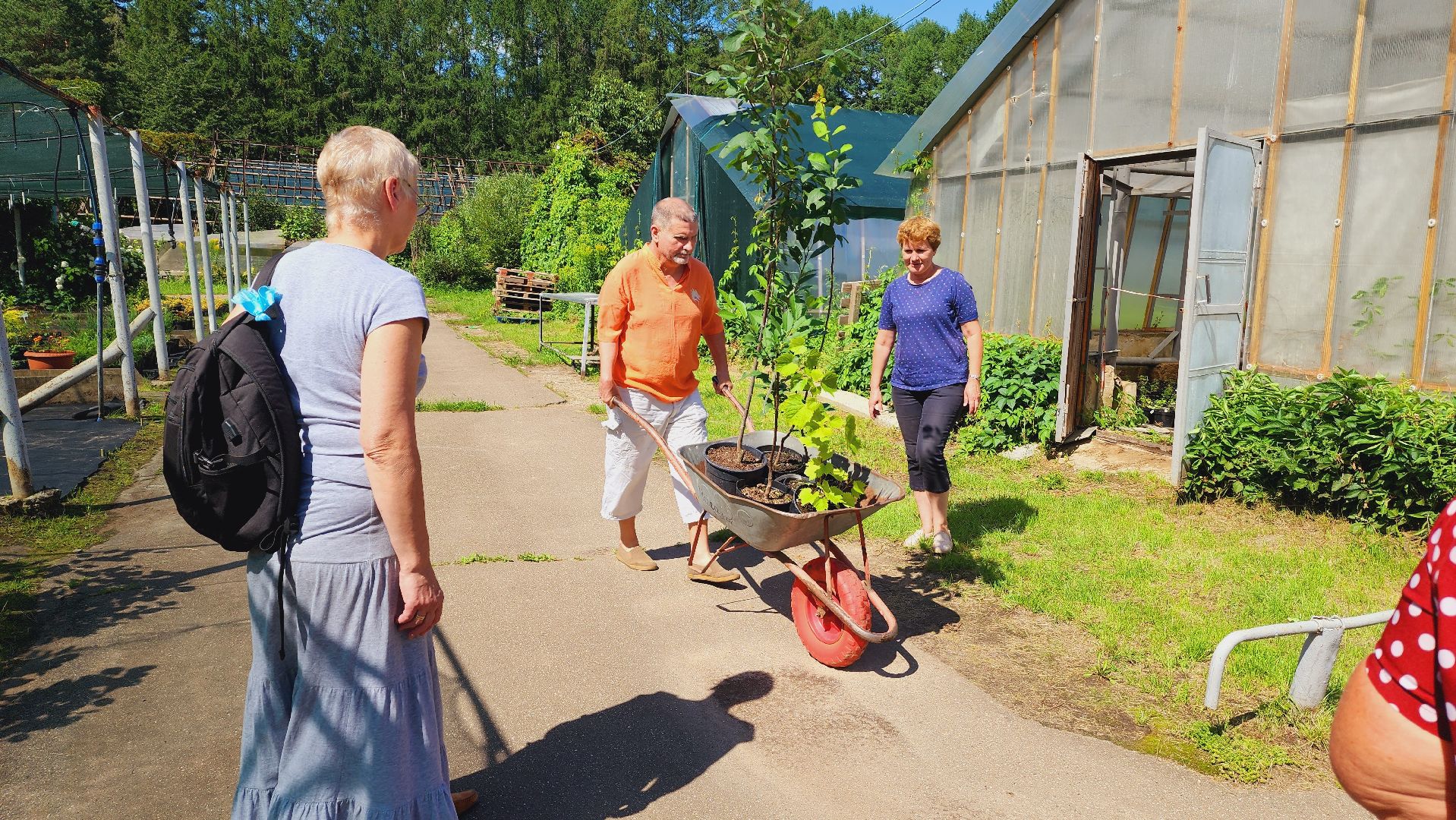 Подмосковье, Ивантеевка, сельское хозяйство,