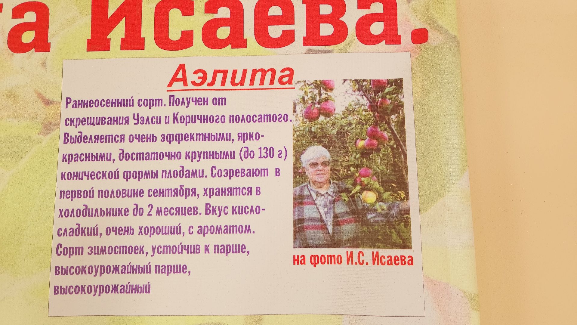 Подмосковье, Ивантеевка, сельское хозяйство,