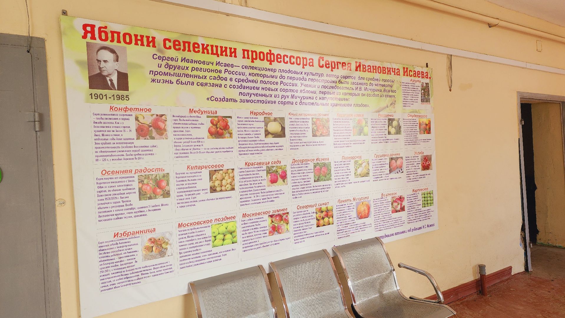 Подмосковье, Ивантеевка, сельское хозяйство,