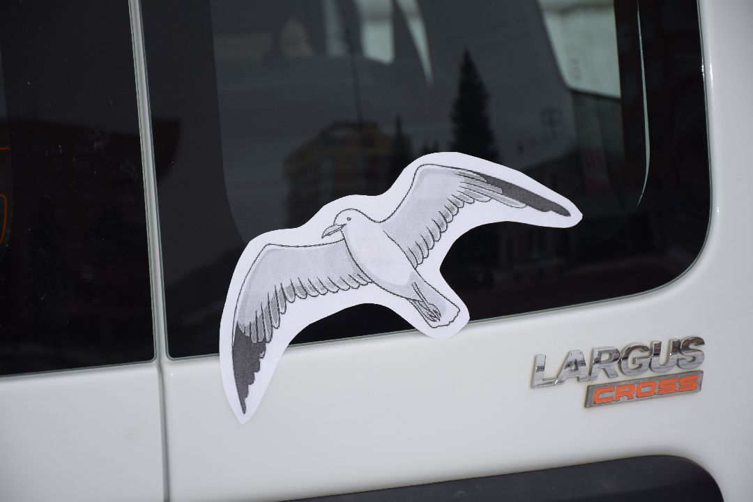 Павловский Посад, машина, конкурс, Автоледи